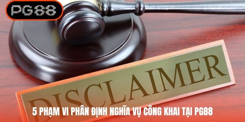 5 phạm vi phân định nghĩa vụ công khai tại PG88