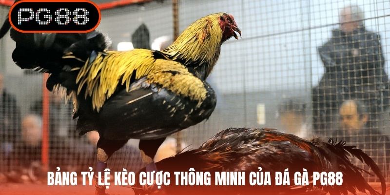 Bảng tỷ lệ kèo cược thông minh của đá gà PG88