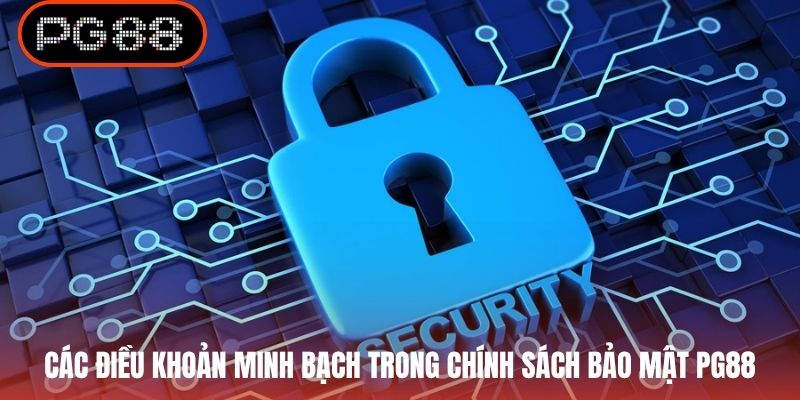 Các điều khoản minh bạch trong chính sách bảo mật PG88
