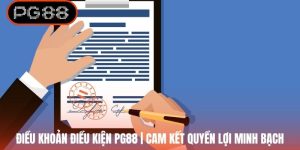 Điều Khoản Điều Kiện PG88 | Cam Kết Quyền Lợi Minh Bạch