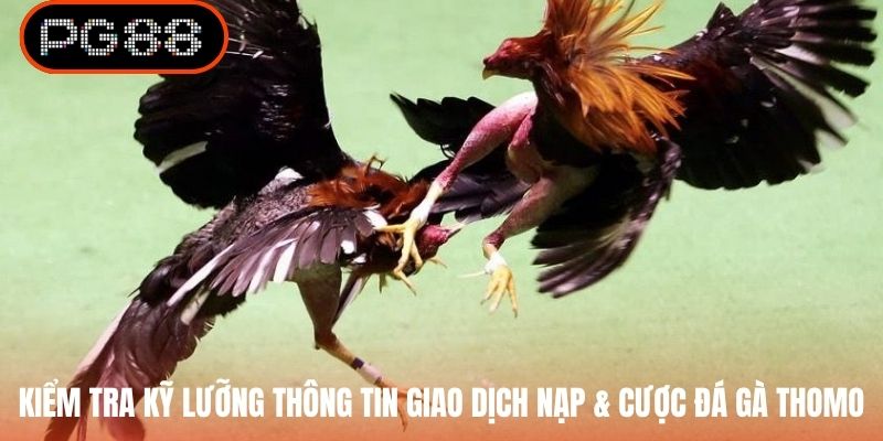 Kiểm tra kỹ lưỡng thông tin giao dịch nạp & cược đá gà Thomo