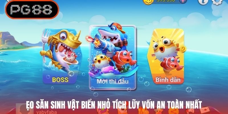 Mẹo săn sinh vật biển nhỏ tích lũy vốn an toàn nhất