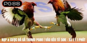 Nạp & Cược Đá Gà Thomo PG88 | Vào Kèo Từ 50K - Xử Lý 1 Phút