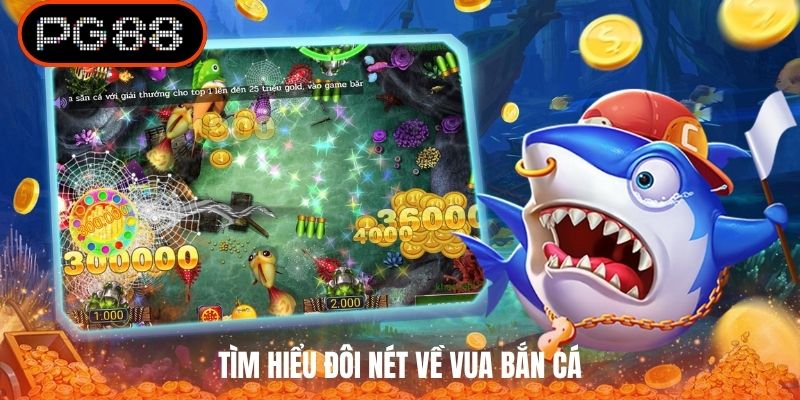 Tìm hiểu đôi nét về Vua Bắn Cá